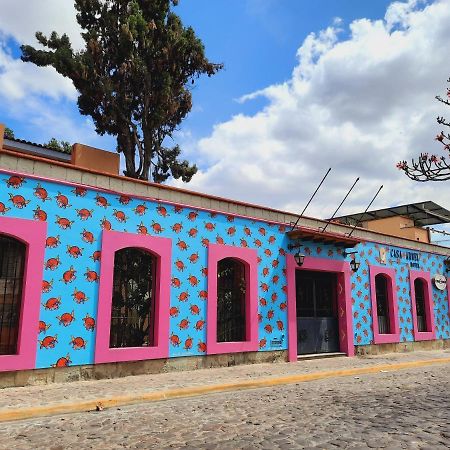 Hotel Casa Arnel Oaxaca Екстер'єр фото