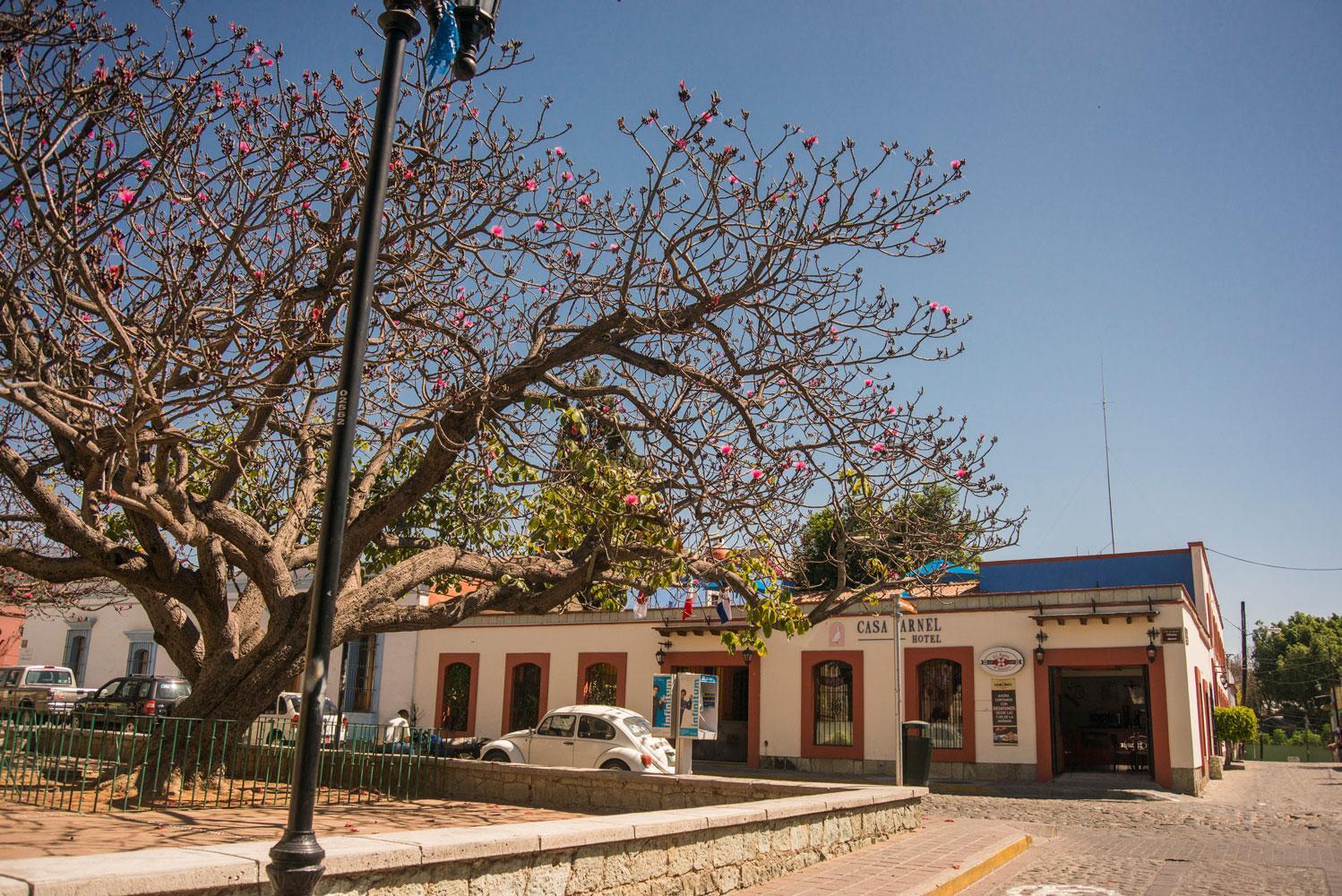 Hotel Casa Arnel Oaxaca Екстер'єр фото